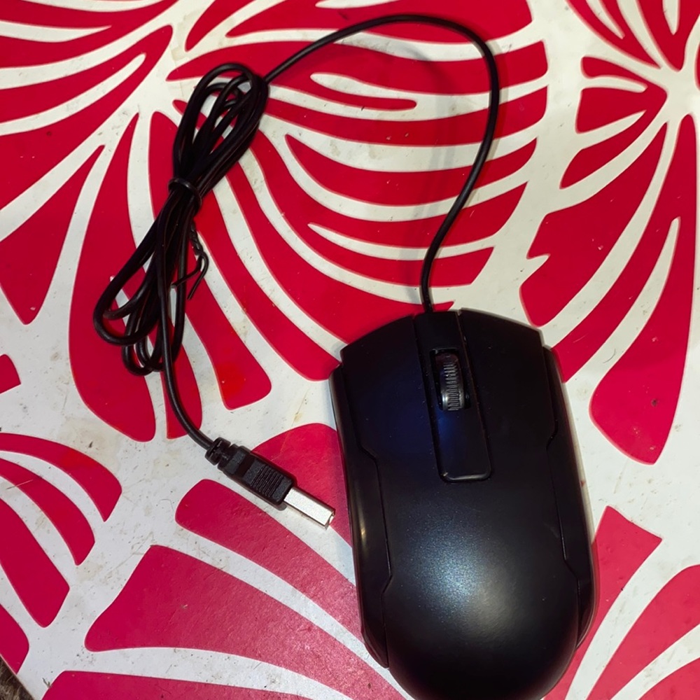New USB optical mouse black in color came with my DVR